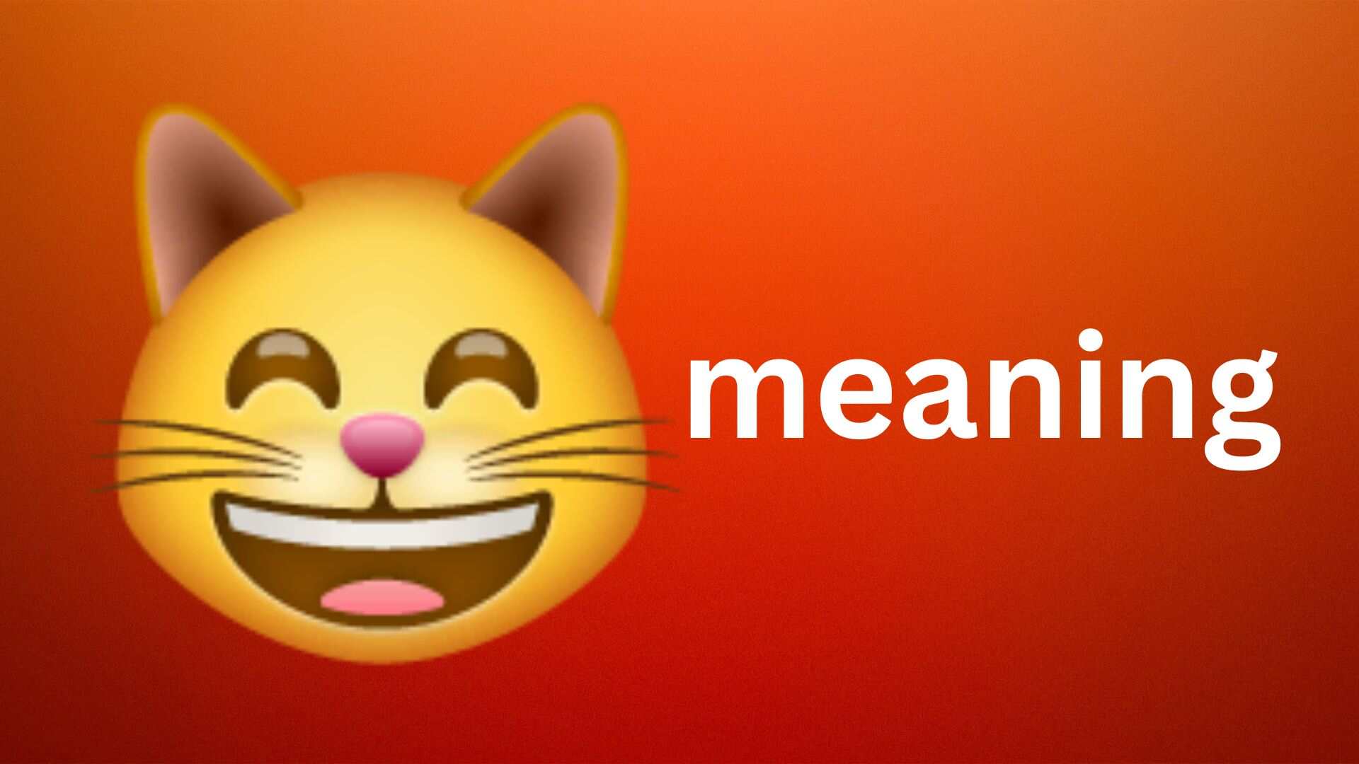 😸 meaning