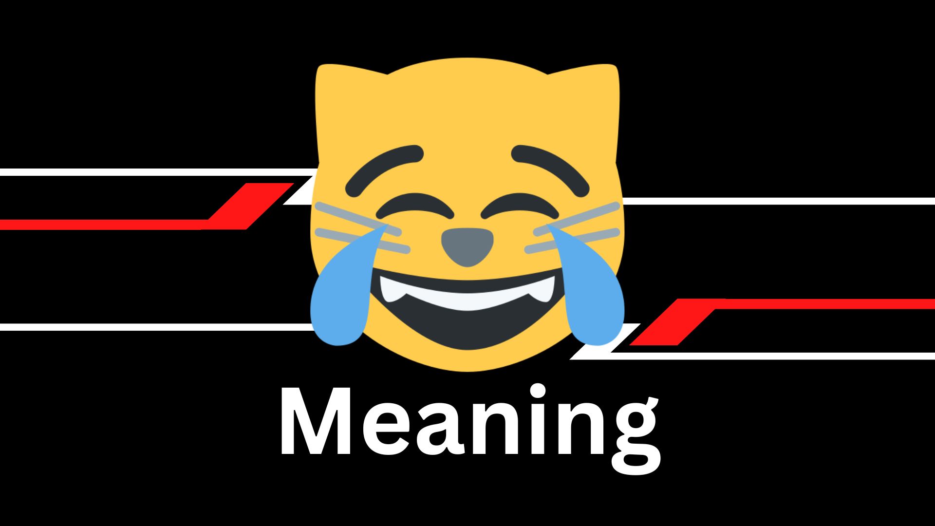😹 meaning
